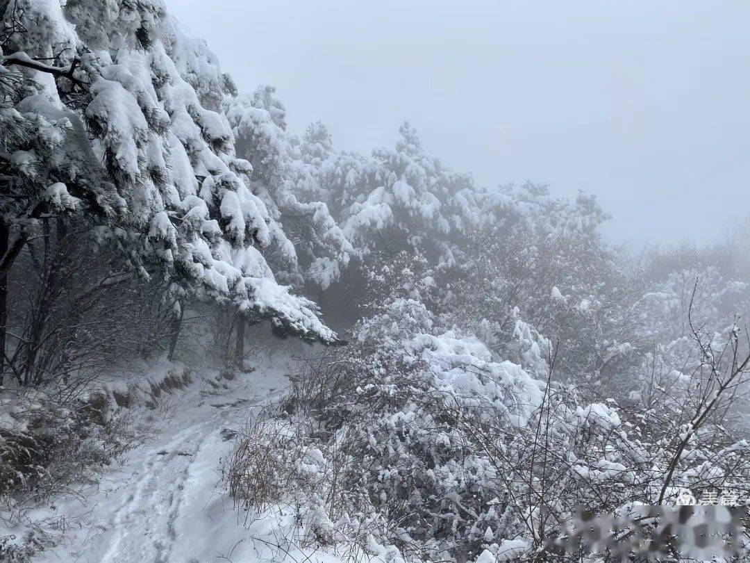 燕山雪花大如席