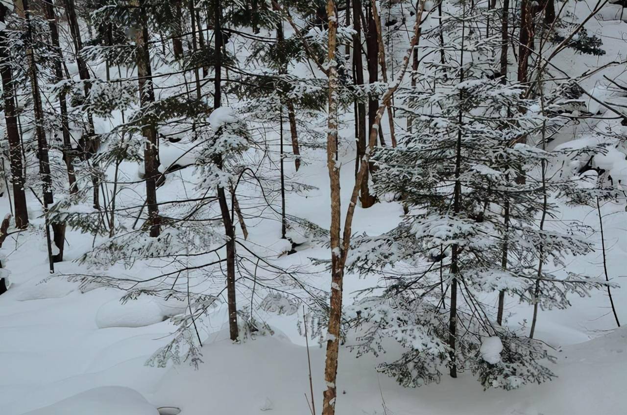 程门立雪的故事 程门立雪的故事简短50字左右